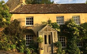 Yew Tree